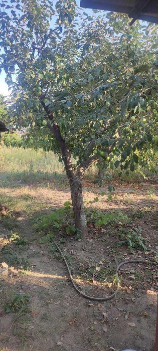 Продам дом  8 сот