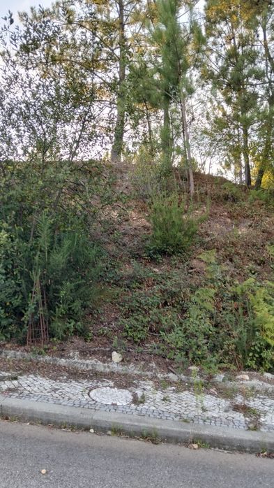 Terreno para construção loteado Bustelo, Oliveira de  Azeméis