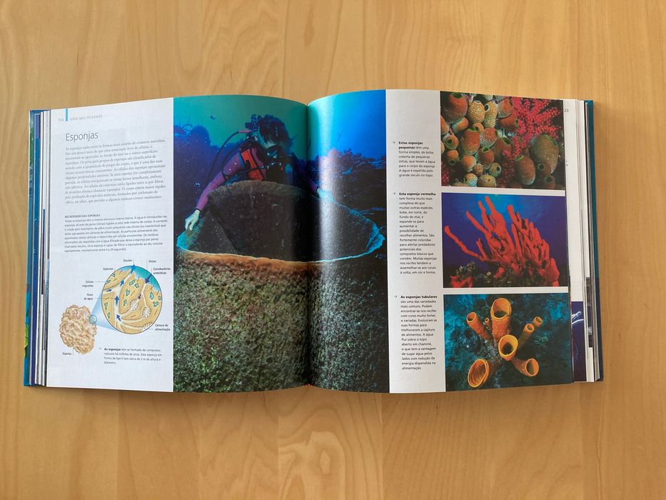 Enciclopédia visual, 6 volumes capa dura, excelente para crianças