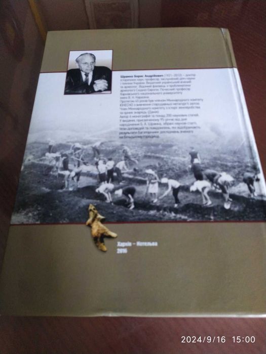 Більське Городище в наукових працях Б. А. Шрамка.