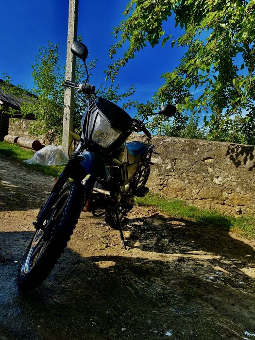 Продам шенерай інтрудер200