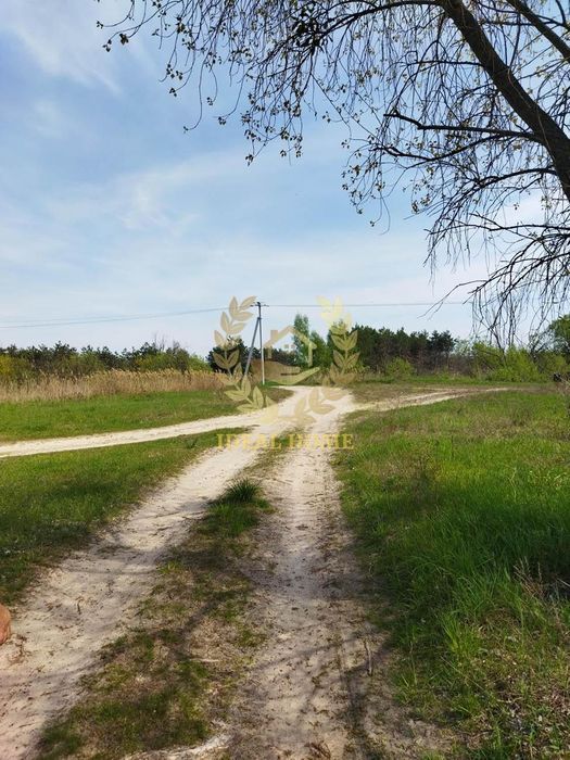 Продам земельну ділянку під забудову в Дружні Бородянського району