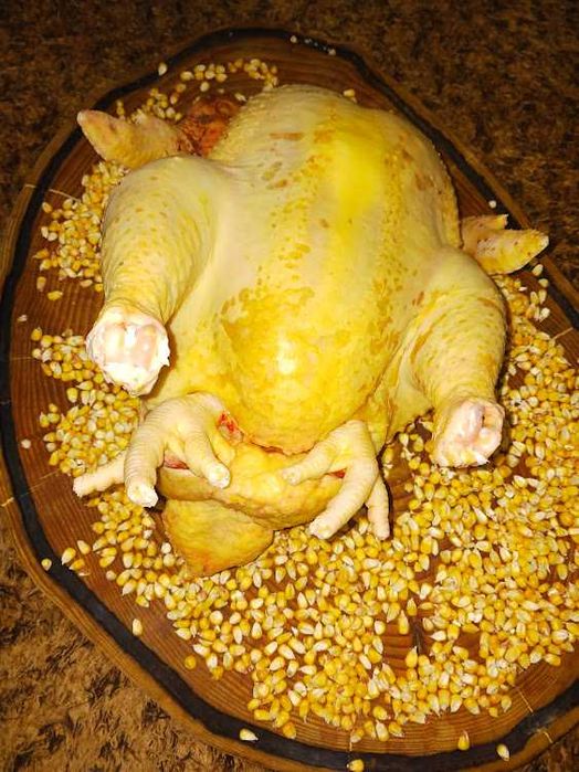 GALOS CAPÕES 100% BIOLÓGICOS (Galos castrados de forma artesanal)