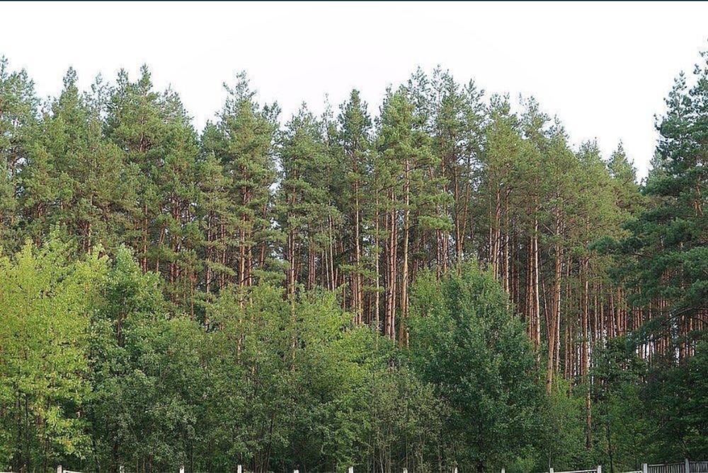 Терміново! Продаж землі під будівництво