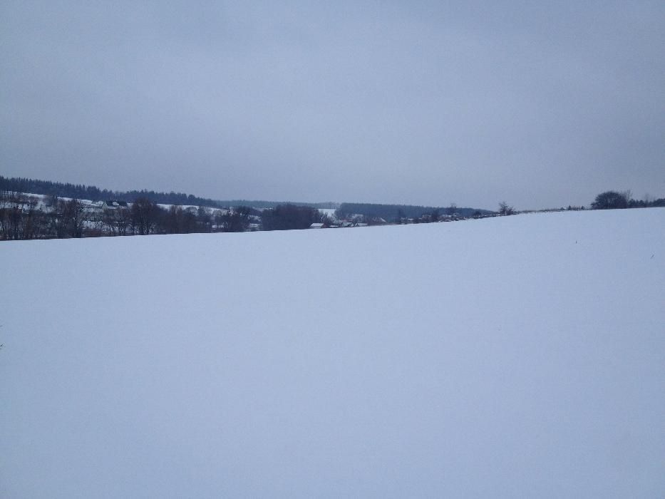 Земля,участок 500соток.Киево-Святошинский р-н,с.Горбовичи