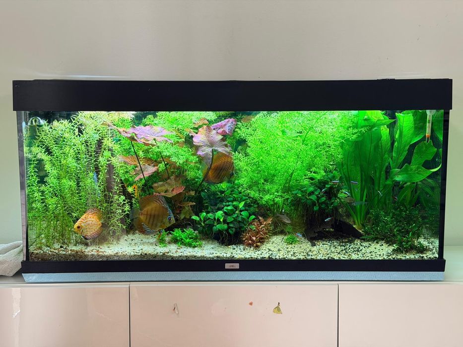 Aquário Juwel de 240 litros. (1,2 metros) com filtro Eheim profissiona