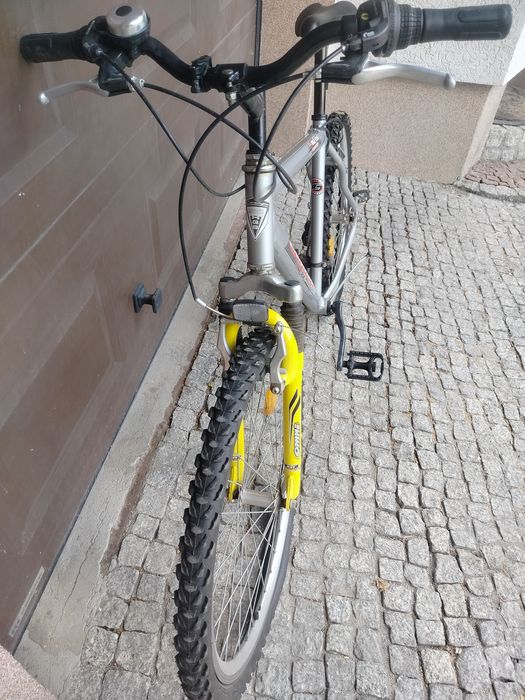 Rower męski canoga 701