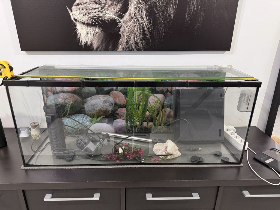 Aquario grande de peixes