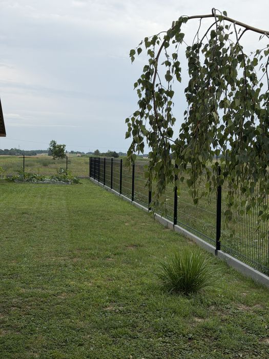 Robot koszący Eufy C15