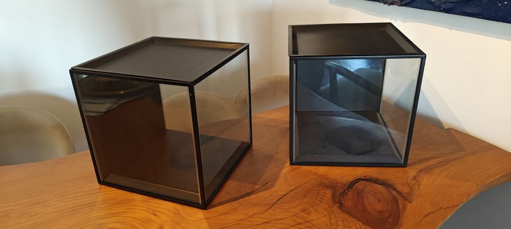 Cubos de Exposição - Edição Limitada