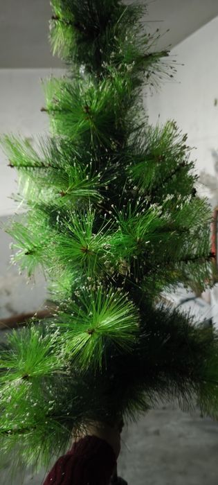 Árvore de natal  pequena