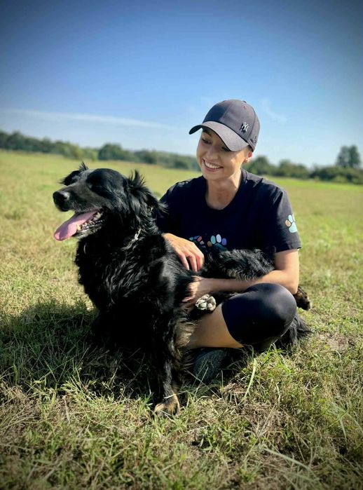 Dżeki - kudłacz uwielbiający długie spacery