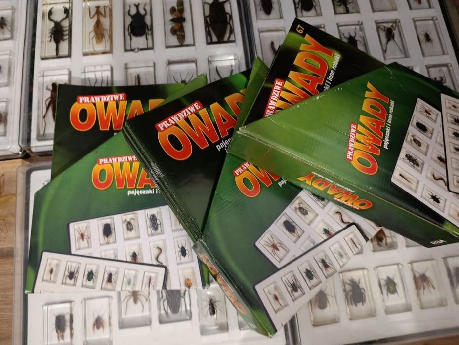 Kolekcja "Owady, pajęczaki i inne robaki"


---

T