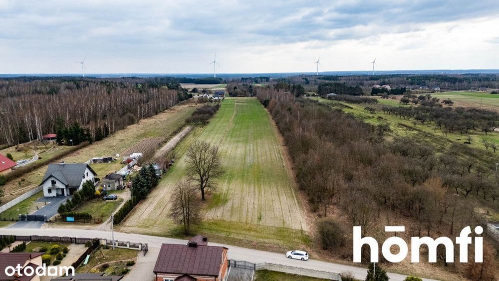 Działka W Bierwieckiej Woli - Widok 3