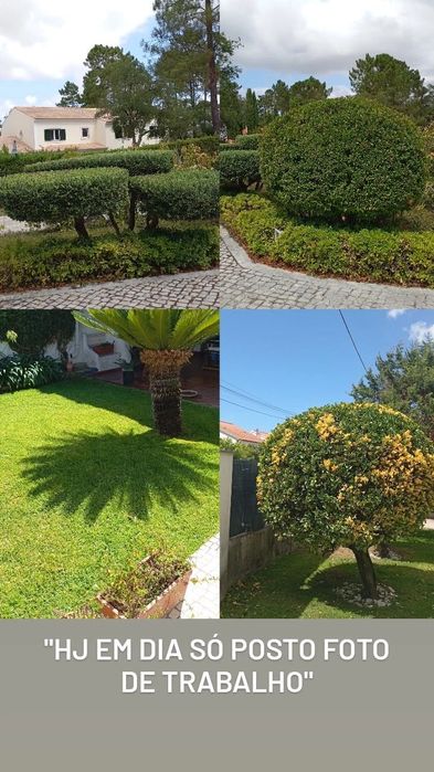 Manutenção de jardins