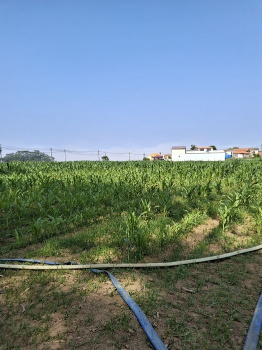 Terreno Rustico venda