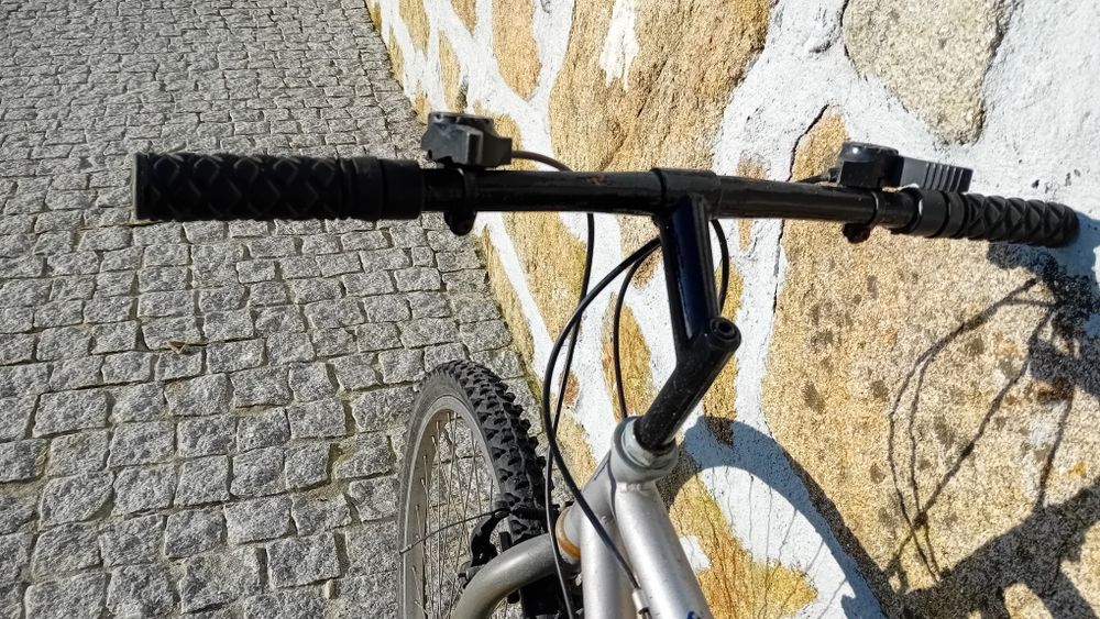 Bicicleta "Bike Sport"