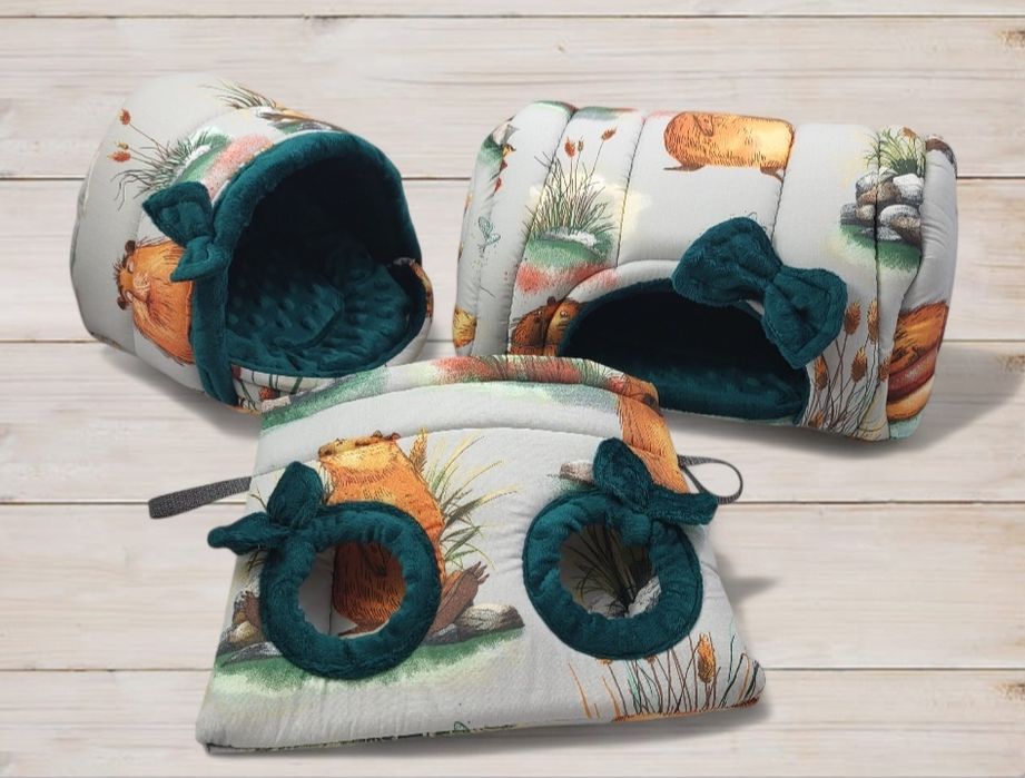 Zestaw dla gryzonia świnki morskiej