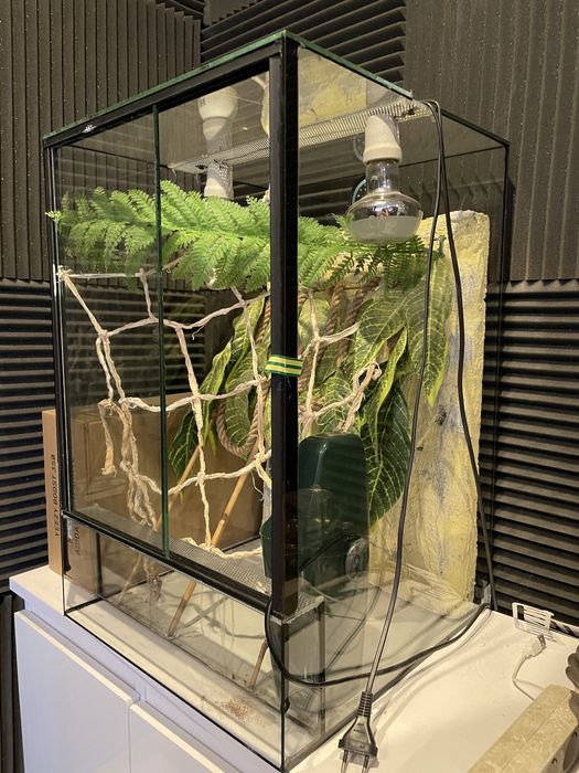 Terrarium kameleon/gekon