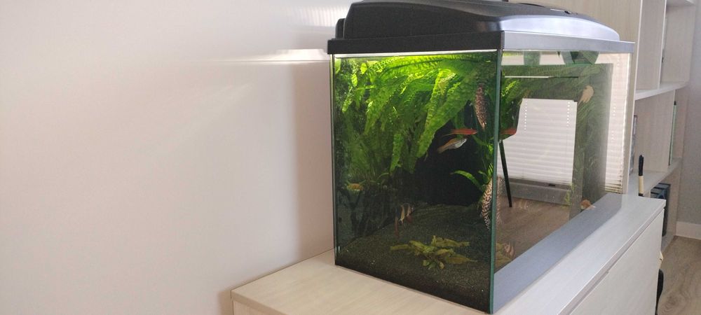 Akwarium 126 l z pokrywą