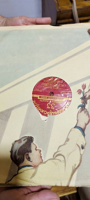 Пластинки різних видів