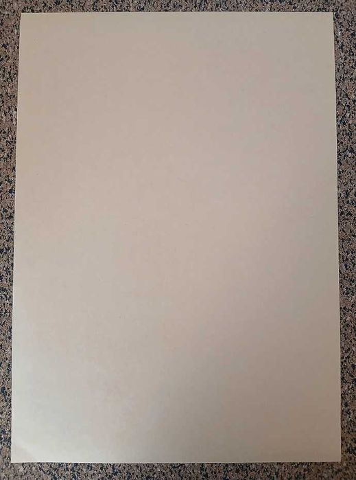 Poster - Cowboy Bebop: Spike Spiegel (papel kraft 30x42 cm)