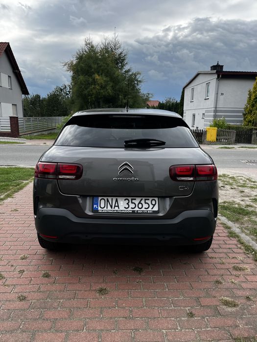 Citronen C4 cactus
