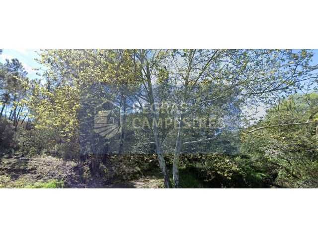 TERRENO RÚSTICO (FLORESTAL) SILVARES - FUNDÃO