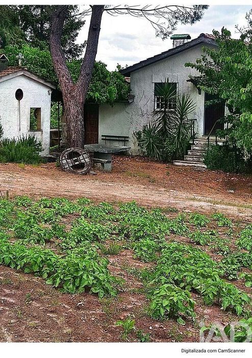 Terreno em São Miguel de Vila Boa
