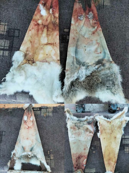 Продам шкурки кроличьи