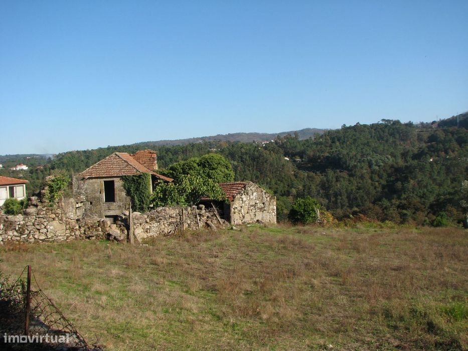 Estate with a ruined house