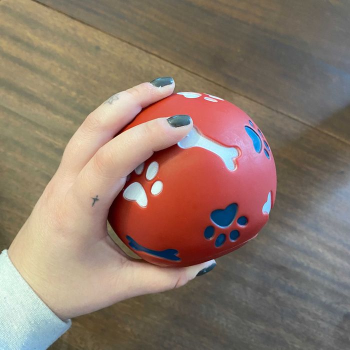 Bola Pet para Ração