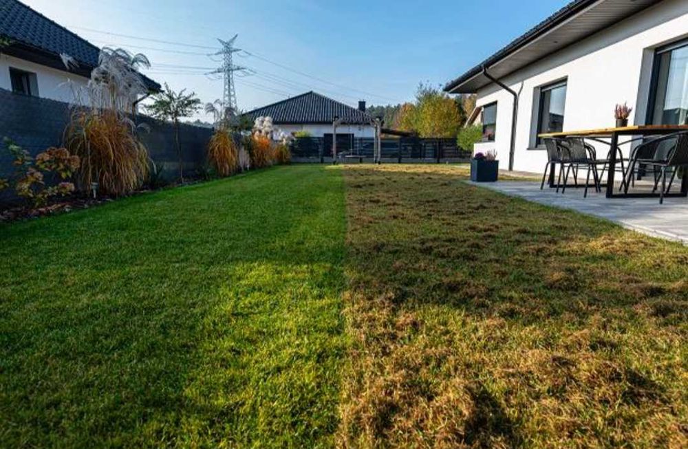 Wertykulacjia i pielęgnacja trawników