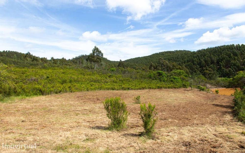 Terreno nas colinas de Carrascalinho com possibilidade de construção