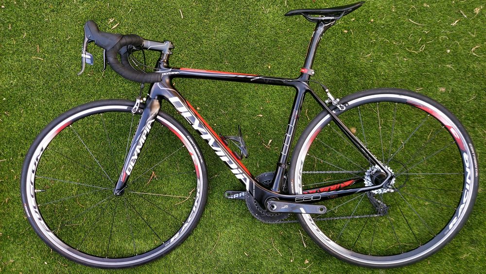 Olympia carbono t54