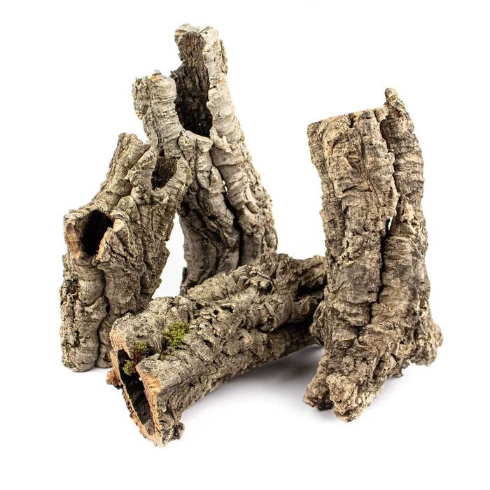 Tuby korkowe Dębu korkowego – Naturalny wystrój do terrarium – L