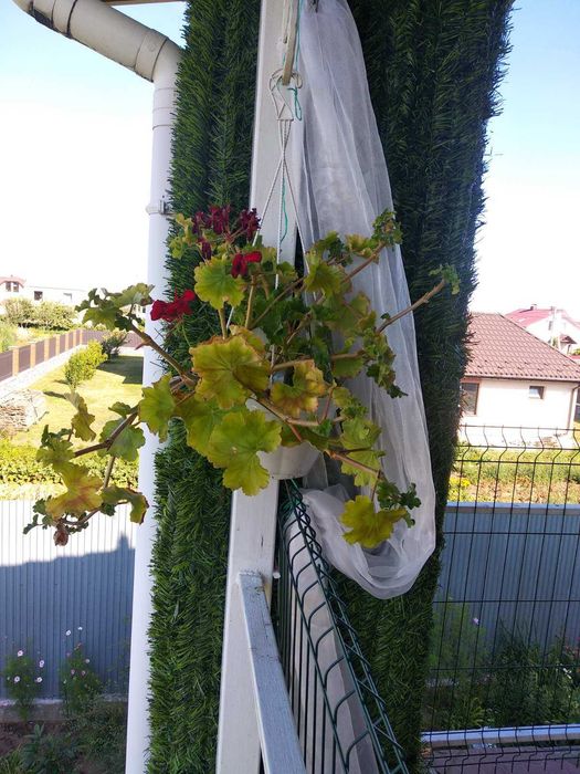 Сучасний теплий будинок від господаря посуточно оренда газове опалення