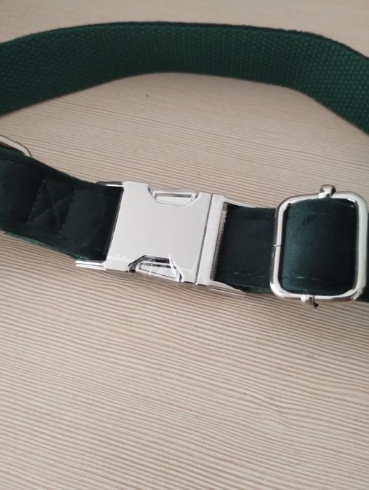 Elegancka obroża dla psa