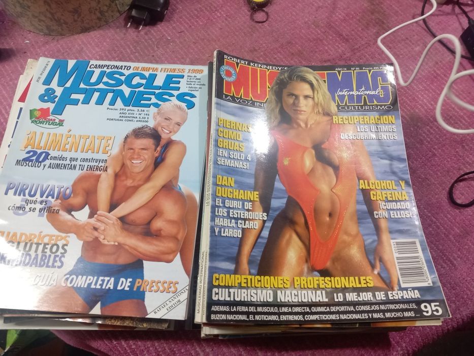 Musculatura  fitness