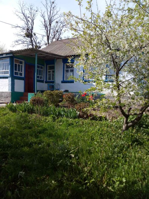 Продається будинок в с.Петропавлівка, Черкаська обл.