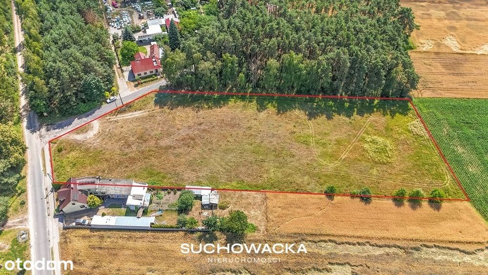Duża działka 7600 m² | WZ na dom | blisko lasu