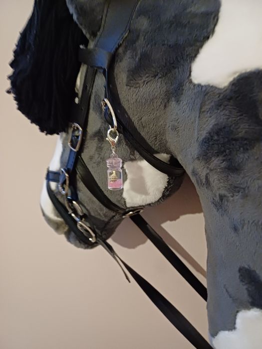 Charms dla hobby horse