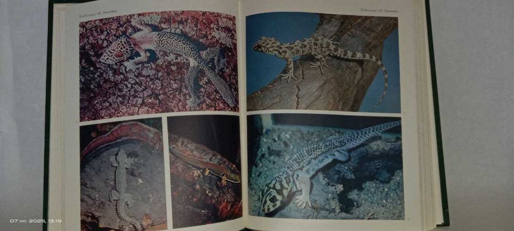 Жизнь животных в 7-ми томах