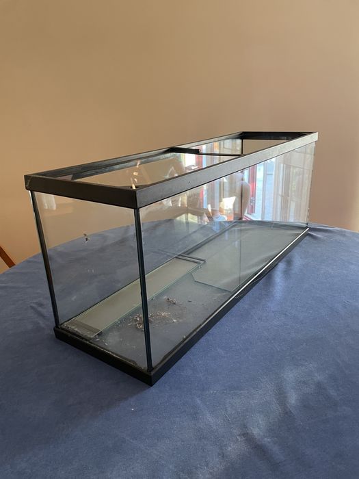 Aquário para peixes/répteis