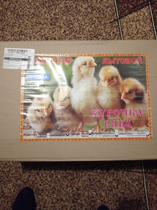 Інкубатор курочка ряба