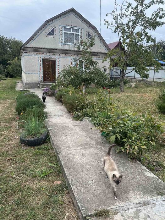 Оренда будинку всі зручності