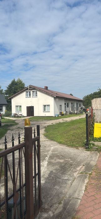 Wynajmę halę 100m2