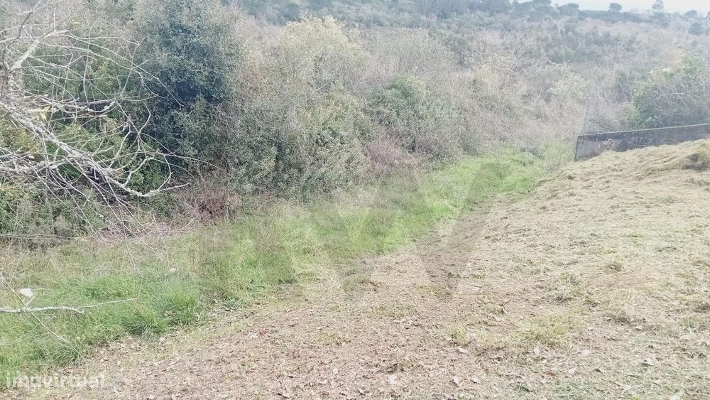Terreno Urbano na Encosta do Sol – Vila de Soure