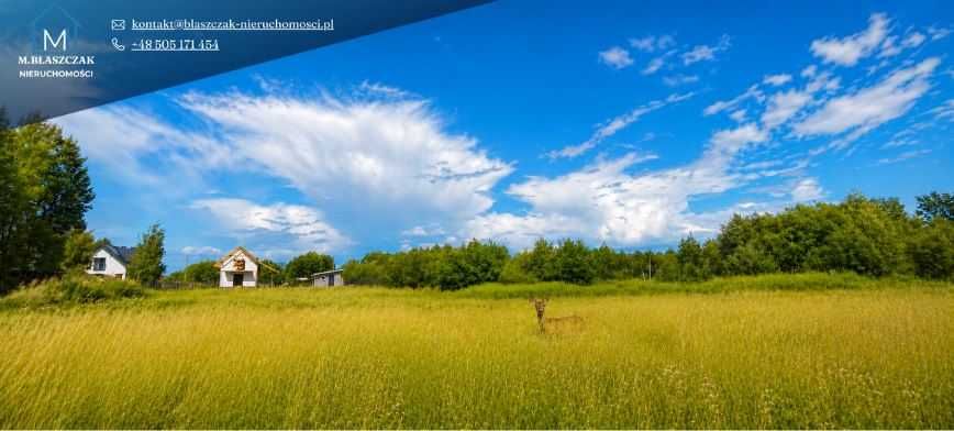 Działka 8800m Wola Cygowska, Poświętne Wołomin - Widok 4