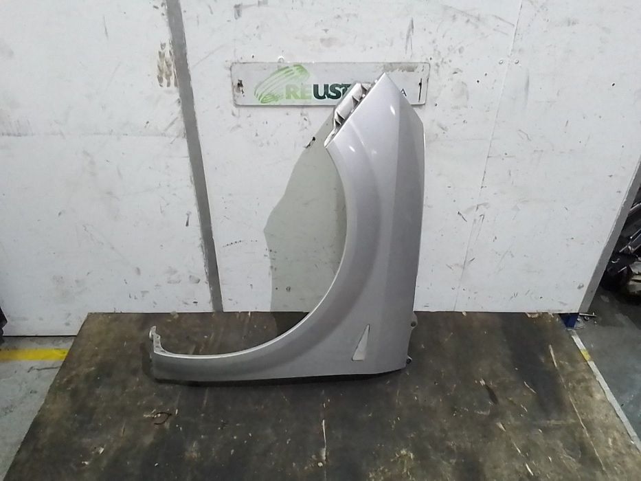 Guarda Lamas Esq Renault Grand Scénic Ii (Jm0/1_)